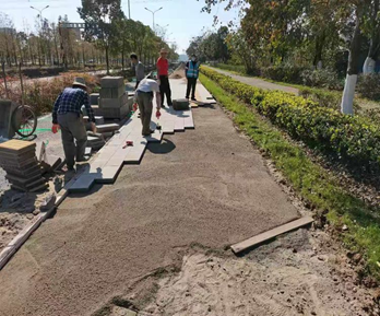 武漢市后湖大道延長線道路工程